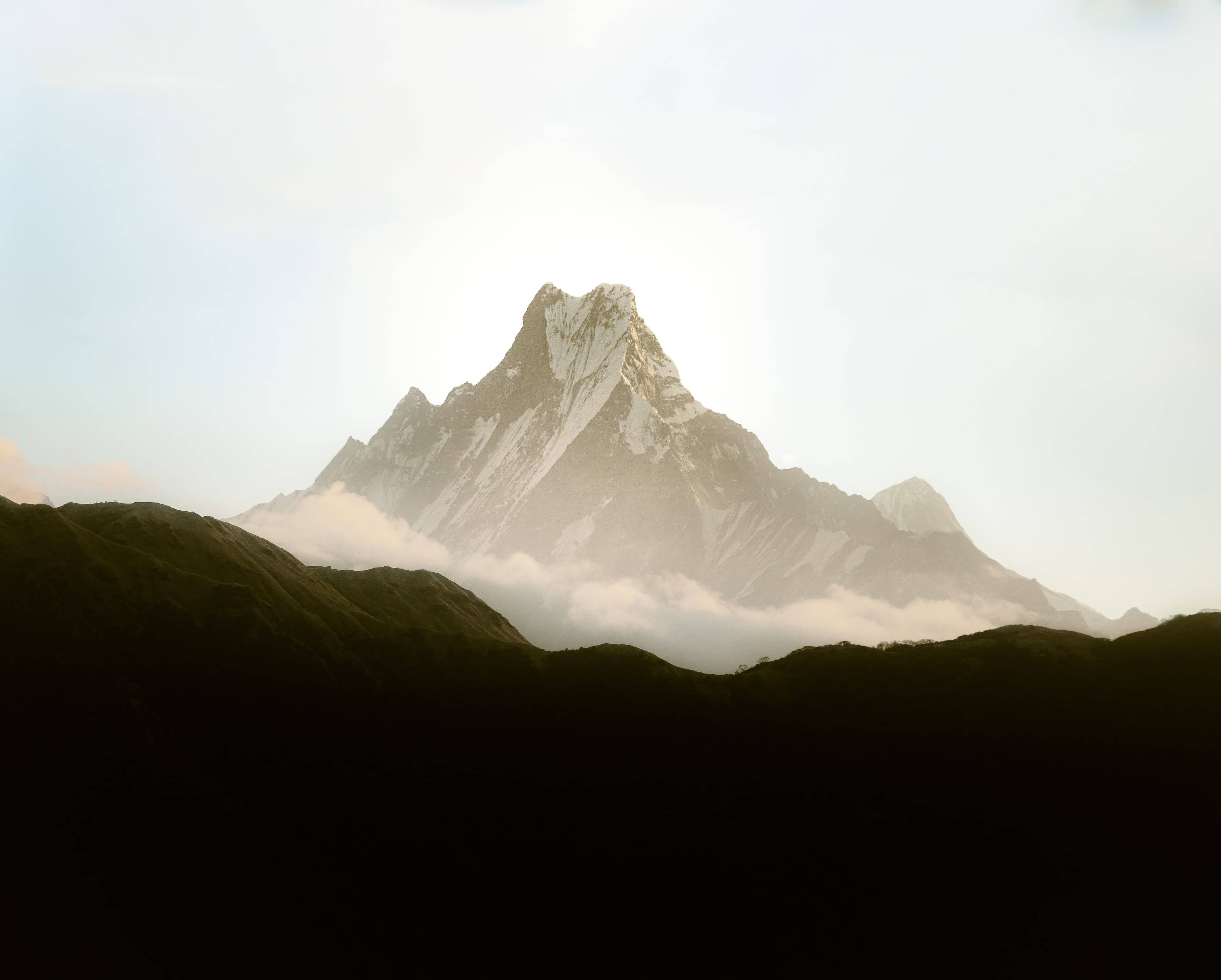 A snow-capped peak rising above a sea of cloud at first light