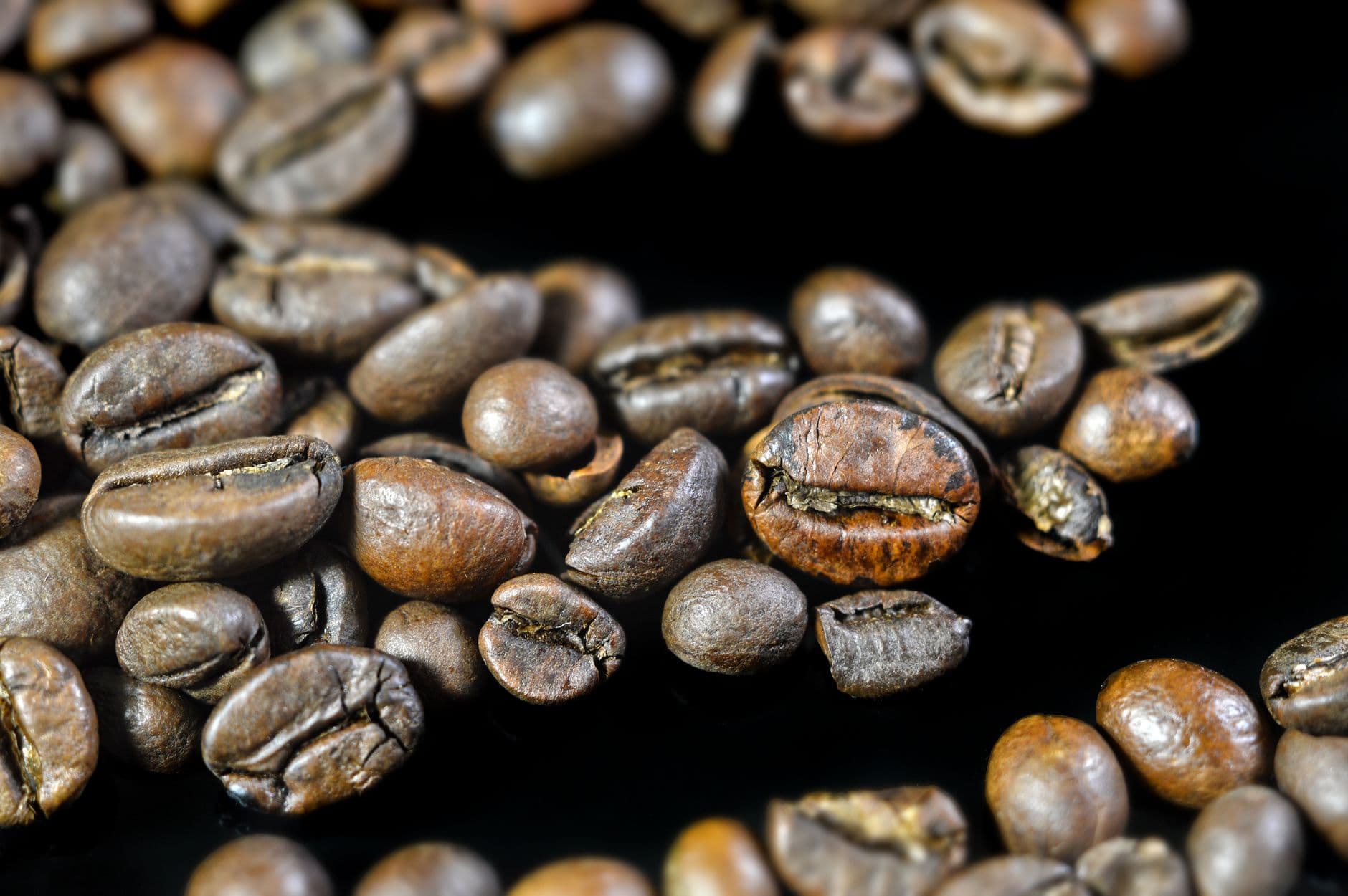 Roasted beans, macro
